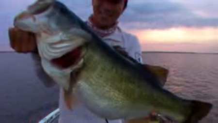 フロリダバス ロクマルを連発で釣り上げている動画が凄い Buzzfisher