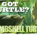 BombshellTurtleLure