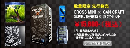 crossmini2014